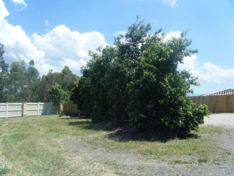 Narangba QLD 4504