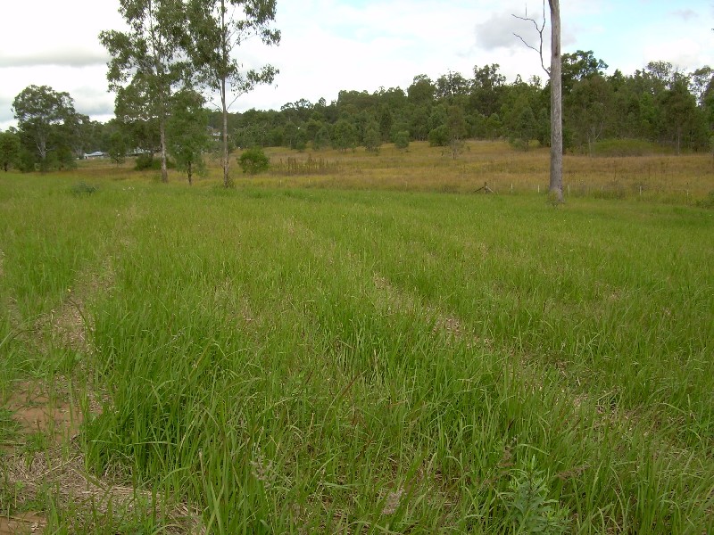 Cedar Vale QLD 4285