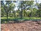 Cedar Vale QLD 4285