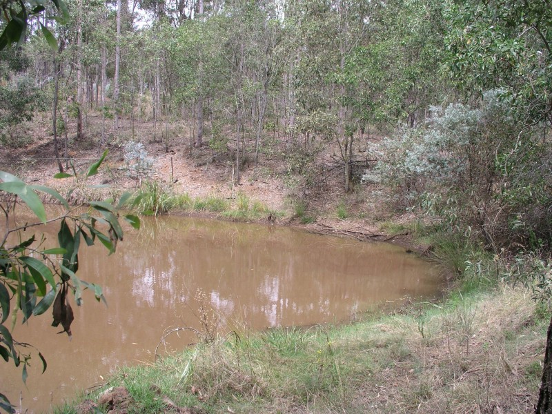 Cedar Vale QLD 4285