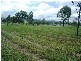 Kensington Grove QLD 4341