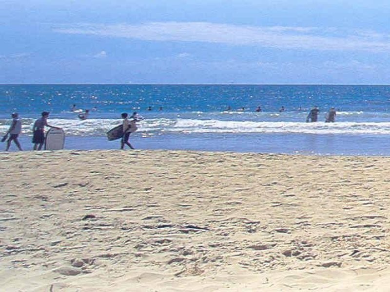 Attenuatta Place, Noosaville QLD 4566