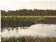 Aspera Place, Noosaville QLD 4566