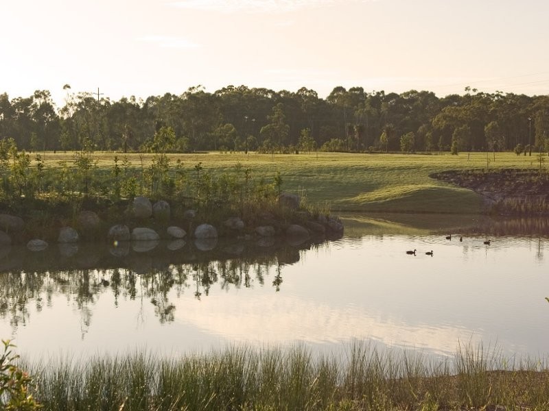 Aspera Place, Noosaville QLD 4566
