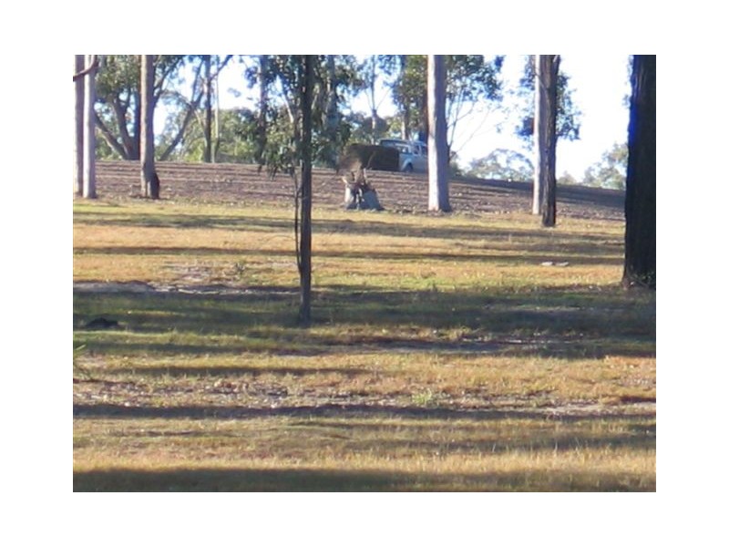 Jimboomba QLD 4280