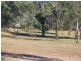 Jimboomba QLD 4280