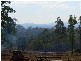 Cedar Vale QLD 4285