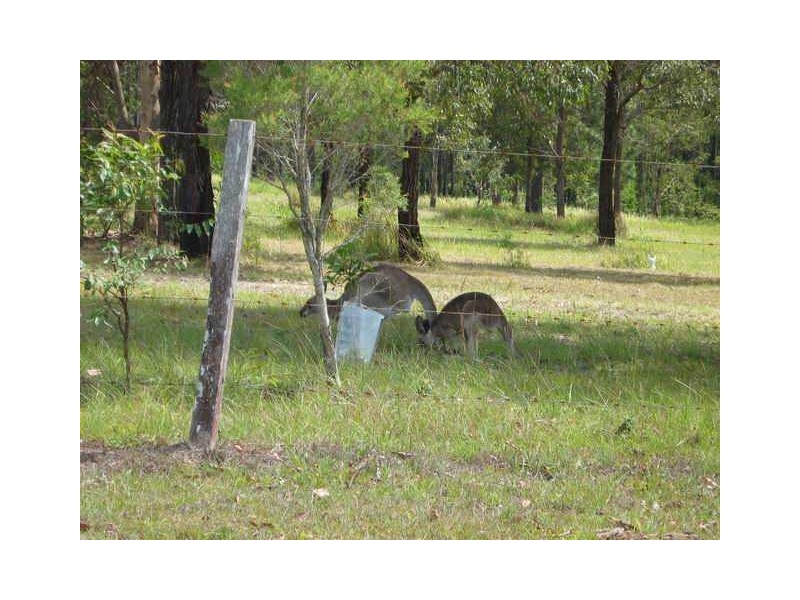 Delaneys Creek QLD 4514