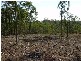 Cedar Vale QLD 4285