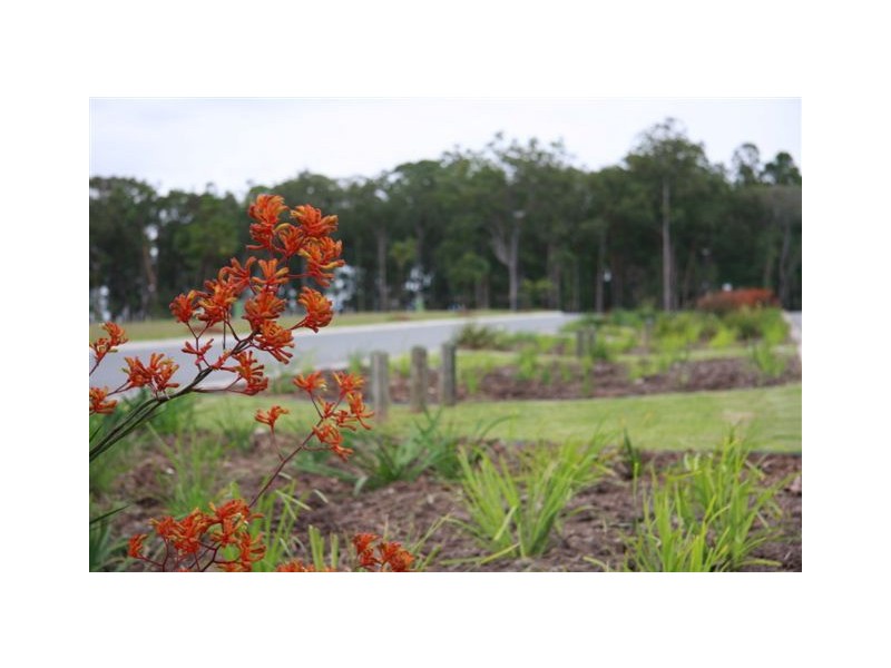 Upper Coomera QLD 4209