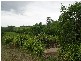 Maleny QLD 4552