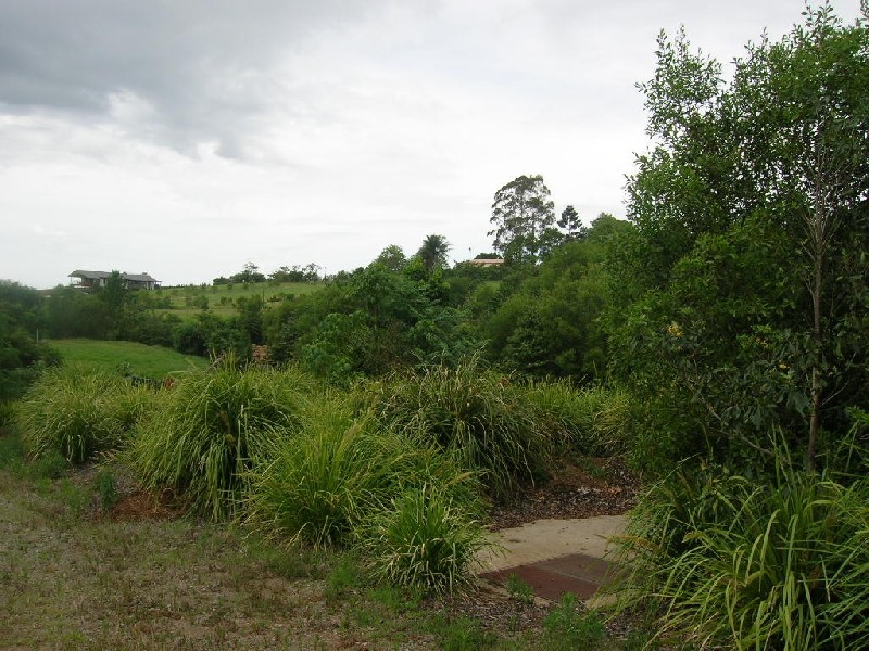 Maleny QLD 4552