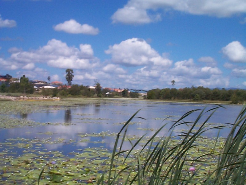 Narangba QLD 4504