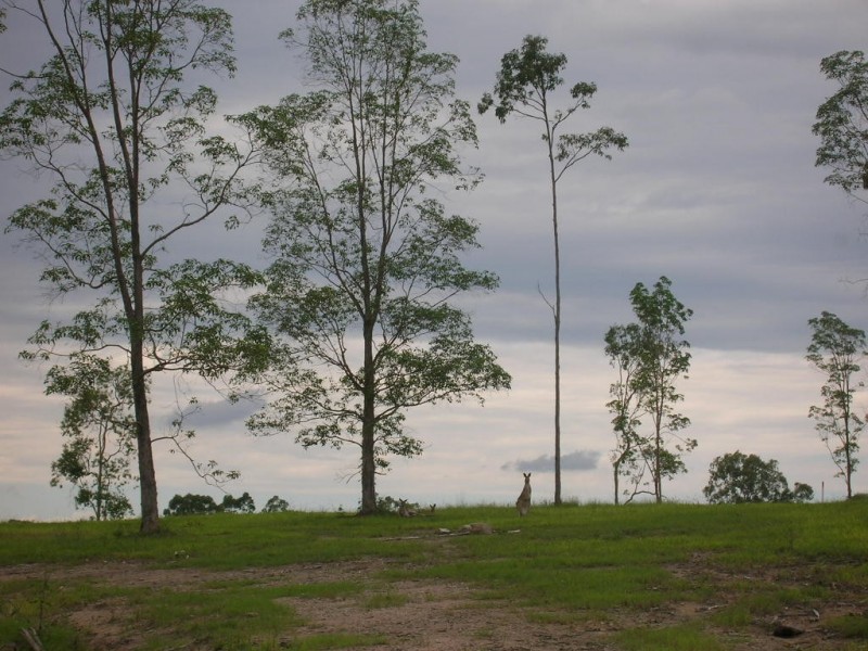 Delaneys Creek QLD 4514