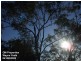Ocean View QLD 4521
