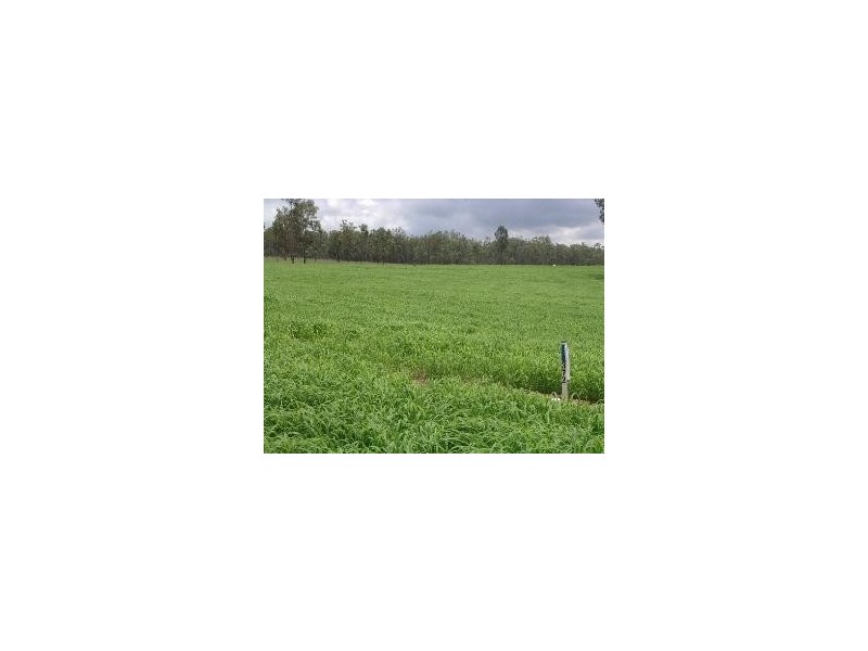 Kensington Grove QLD 4341