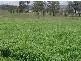 Kensington Grove QLD 4341