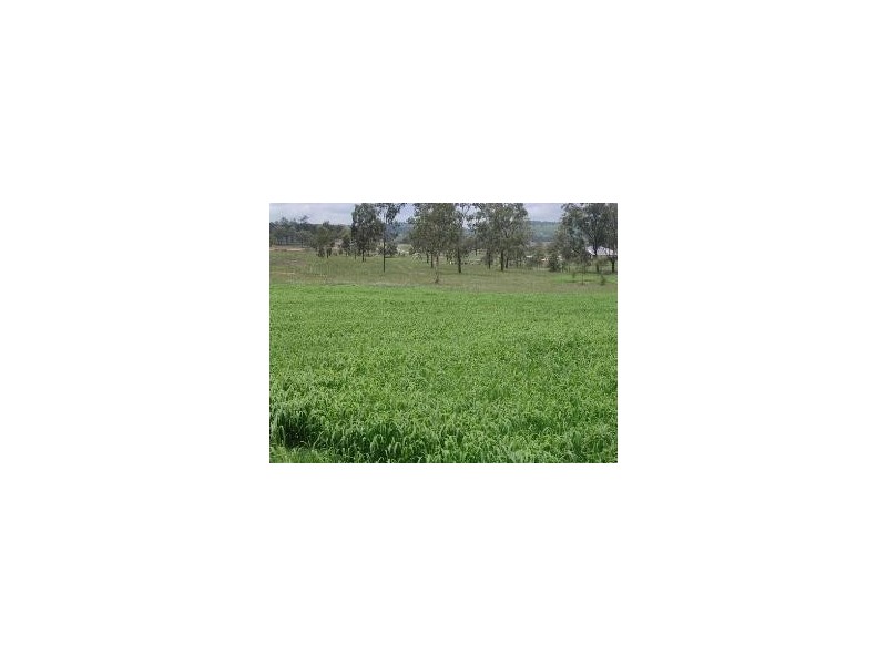 Kensington Grove QLD 4341