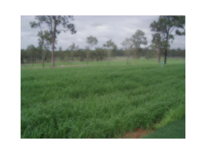 Kensington Grove QLD 4341