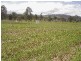 Kensington Grove QLD 4341