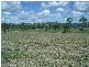 Kensington Grove QLD 4341