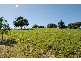 Rosewood QLD 4340
