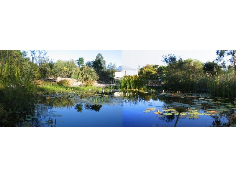 Lot 51 Sugar Gum Court, Jimboomba QLD 4280