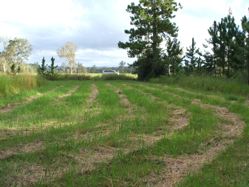 Woodford QLD 4514