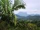 1262 Urliup Road, Murwillumbah NSW 2484