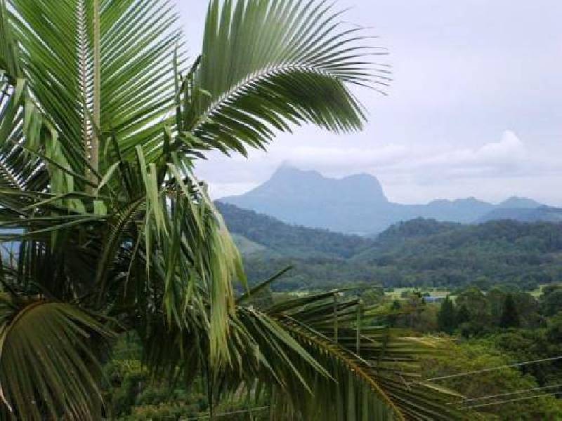 1262 Urliup Road, Murwillumbah NSW 2484