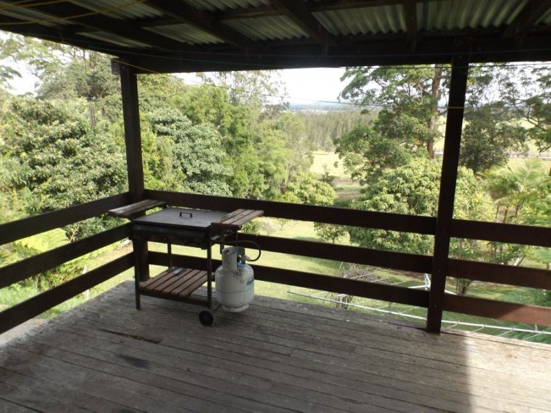 113 Wallace Street, Macksville NSW 2447