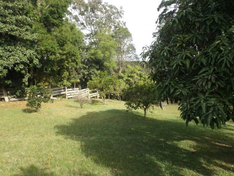 113 Wallace Street, Macksville NSW 2447