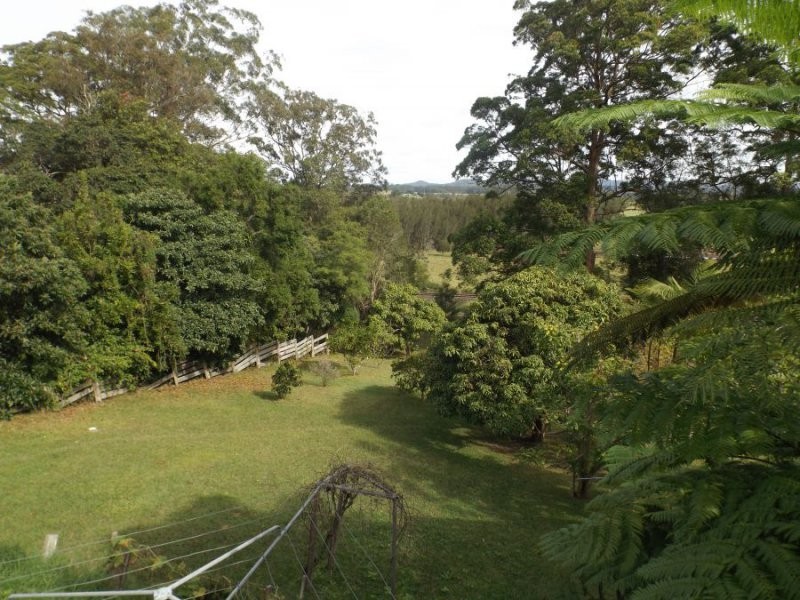 113 Wallace Street, Macksville NSW 2447