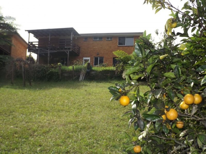 113 Wallace Street, Macksville NSW 2447