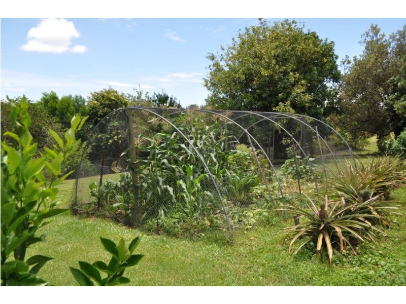 64 Mattick Road, Macksville NSW 2447