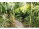 109 Wattlegrove Terrace, Valla Beach NSW 2448