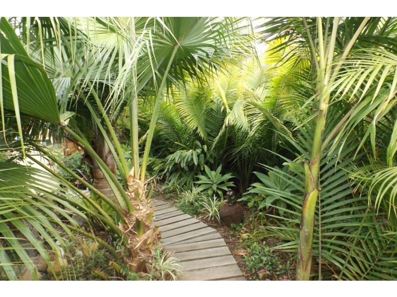 109 Wattlegrove Terrace, Valla Beach NSW 2448