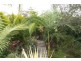 109 Wattlegrove Terrace, Valla Beach NSW 2448