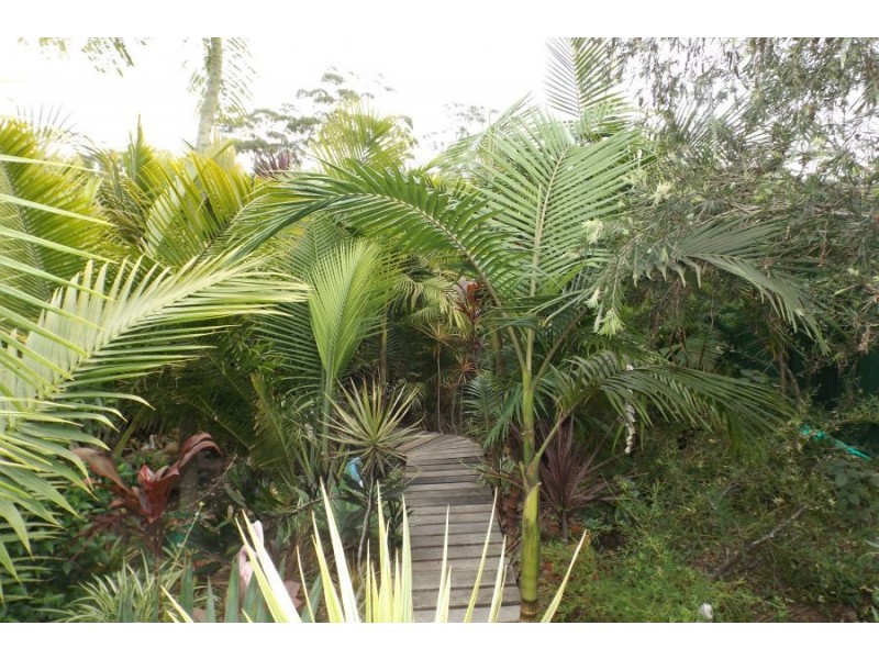 109 Wattlegrove Terrace, Valla Beach NSW 2448
