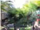 109 Wattlegrove Terrace, Valla Beach NSW 2448