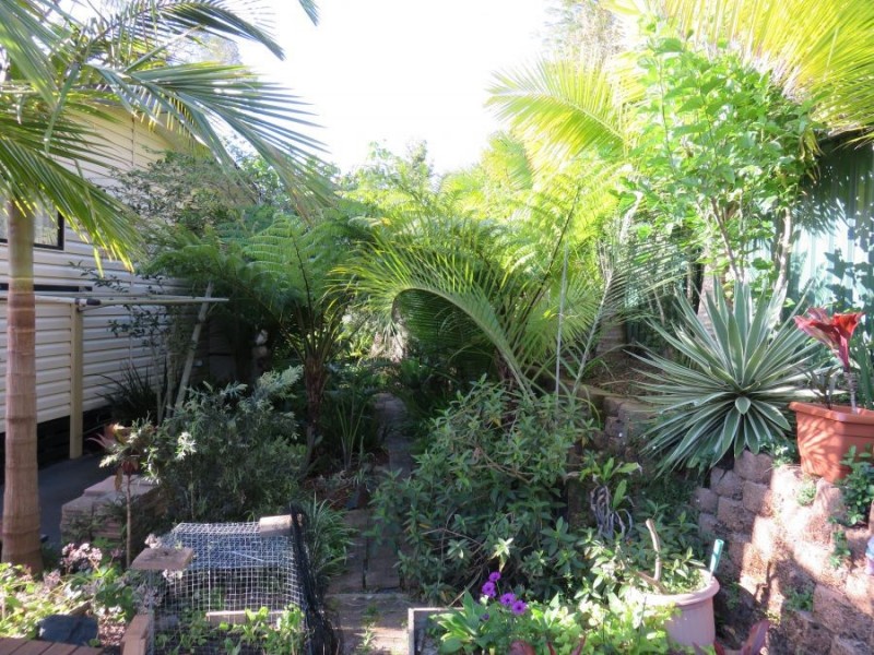 109 Wattlegrove Terrace, Valla Beach NSW 2448