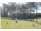 Lot 7 Christine Close – Wirrimbi Estate, Wirrimbi NSW 2447