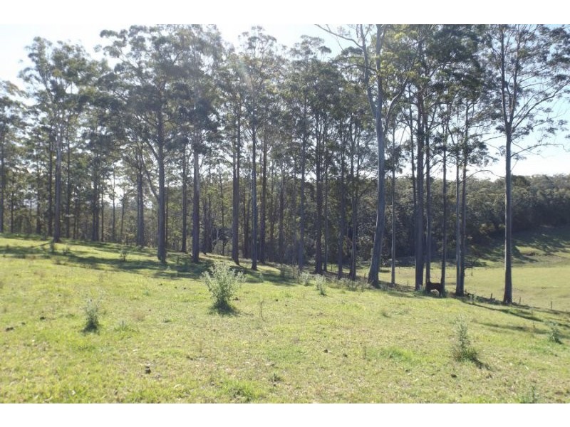 Lot 7 Christine Close – Wirrimbi Estate, Wirrimbi NSW 2447