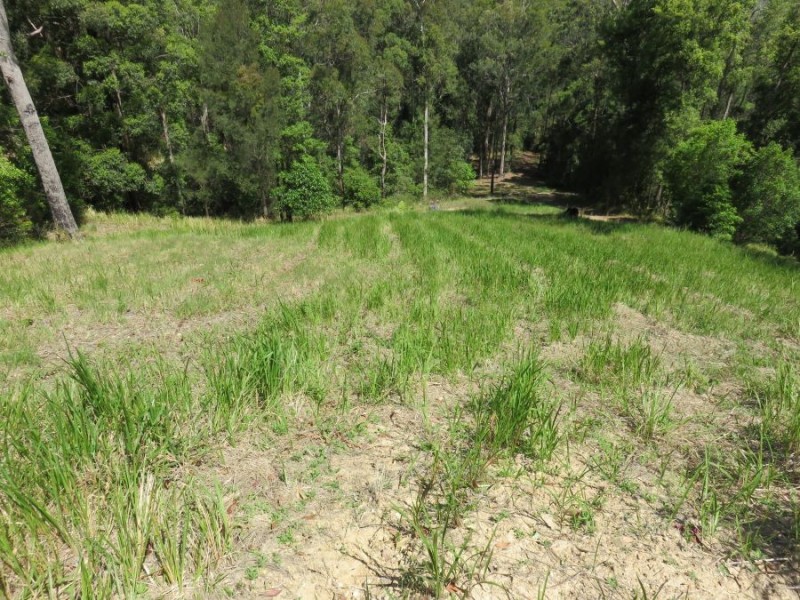 Lot 702 Bowerbird Lane, Valla NSW 2448