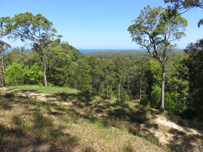 Lot 702 Bowerbird Lane, Valla NSW 2448