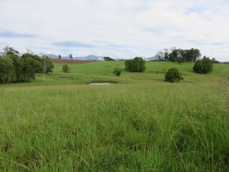 25 Borefield Road, Bowraville NSW 2449