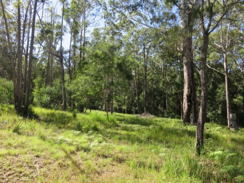 Lot 18 Tallowood Terrace, Valla NSW 2448