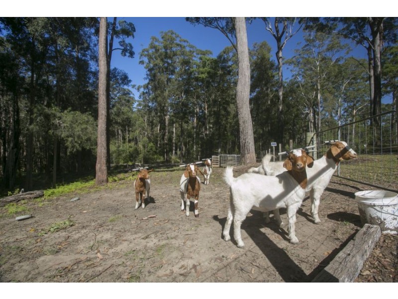 12 Koala Close, Valla NSW 2448