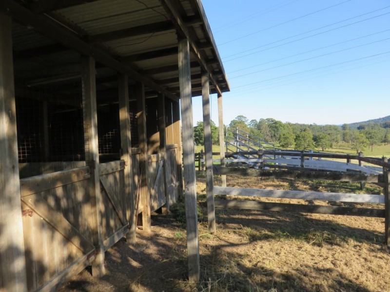 532 Rodeo Drive, Newee Creek NSW 2447