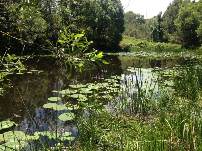 1072 Valla Road, Valla NSW 2448